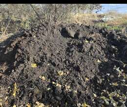 Qara torpağ peyin istənilən yerə sifariş verə bilərsiniz 