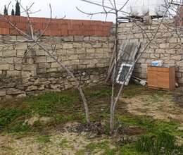 House with Garden, Villa For Sale