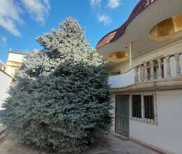 Obyekt İcarəyə verilir