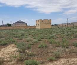 Şirvanda 12 sot torpaq