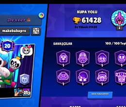 brawl hesabı 60 k