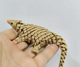 Pangolin fidget