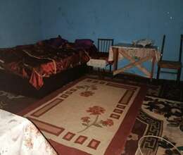 Kirayə Həyət evi, 200m²