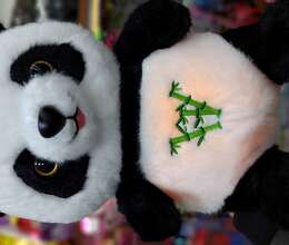 Nəfəs alan pandalar