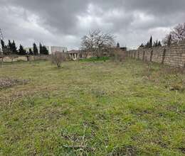 Buzovnada torpaq satilir