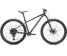 2026 Specialized Rockhopper Comp (WIEKBIKE)