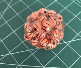 Basket Anti Stress Slime Fidget