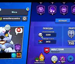 brawl hesabi satilir ve ya pubg hesabi ile barter