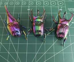 Hercules Anti Stress Fidget