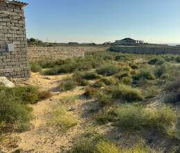 Nardaranda 10 sot torpaq satilir