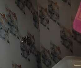 Satış Həyət evi, 60m²