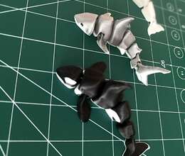 Akula Qatil balina delfin fidget