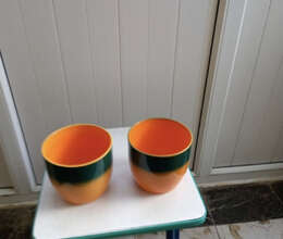 Müxtəlif dibçəklər