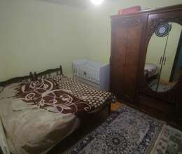 Kirayə Bağ evi, 45m²