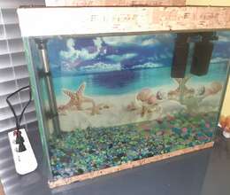 Akvarium satılır
