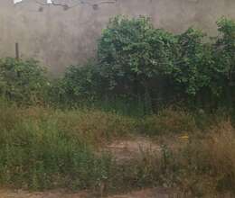 4 sot torpaq sahəsi satılır