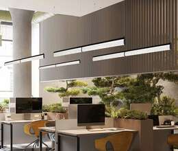 Biznes təşkilatçısı tələb olunur