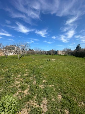 Buzovnada 12 Sot Torpaq Sahəsi Satılır