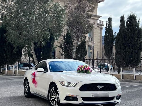 Mustang Kupe Toy Maşını Sifarişi — Yasamal R