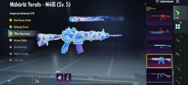 Pubg Mobile Hesab, 79 Səviyyə — M416 5lvl