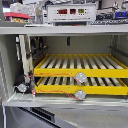 Professional inkubator – Biznes üçün avadanlıq – ucuztap.az