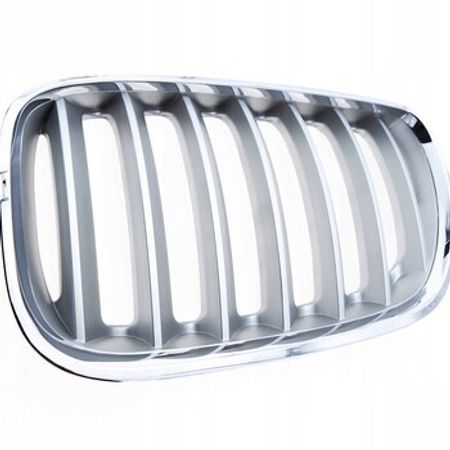 "BMW X5 E53 2004-2006" radiator barmaqlığı