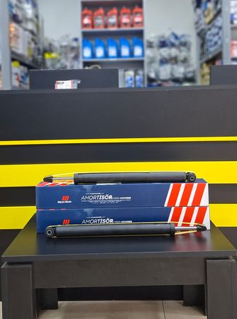 Ford Focus - Arxa Amartizator