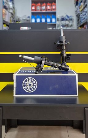 Ford Focus - Arxa Amartizator