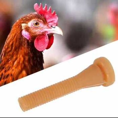 Toyuq yolan aparat rezinləri – Biznes üçün avadanlıq – ucuztap.az