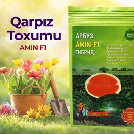 Qarpız toxumu