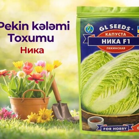 Pekin kələmi toxumu – Bağ və bostan – ucuztap.az