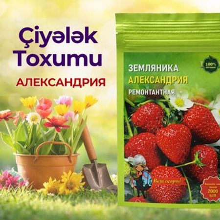 Çiyələk toxumu – Bağ və bostan – ucuztap.az