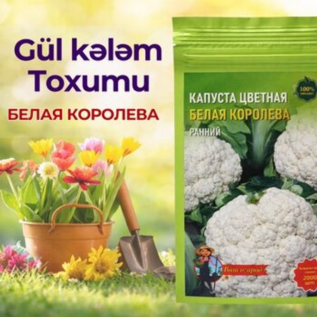 Gül kələm toxumu – Bağ və bostan – ucuztap.az
