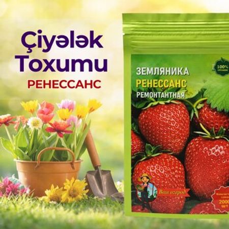 Çiyələk toxumu