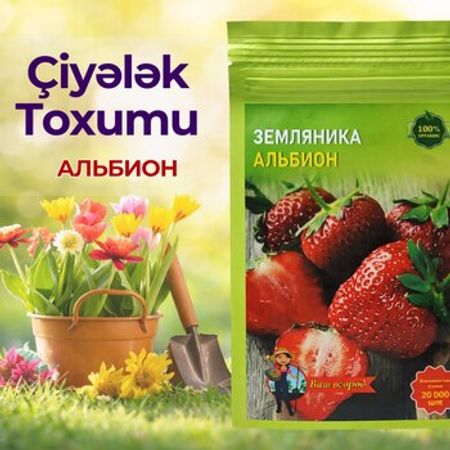 Çiyələk toxumu