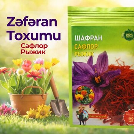 Zəfəran toxumu
