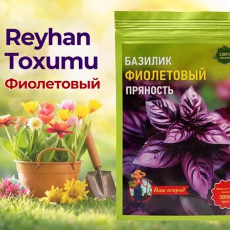 Reyhan toxumu
