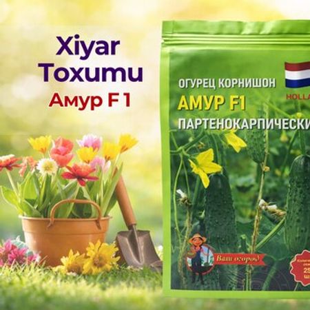 Xiyar toxumu – Bağ və bostan – ucuztap.az