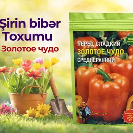 Şirin bibər toxumu