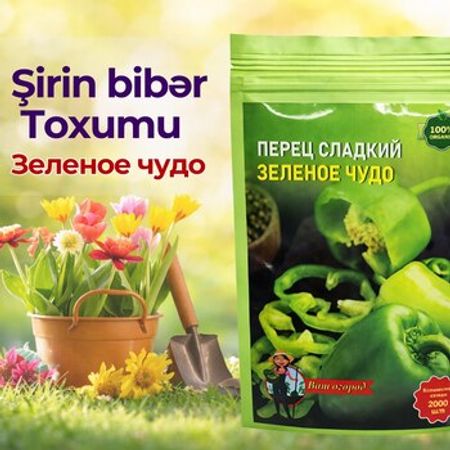 Şirin bibər toxumu