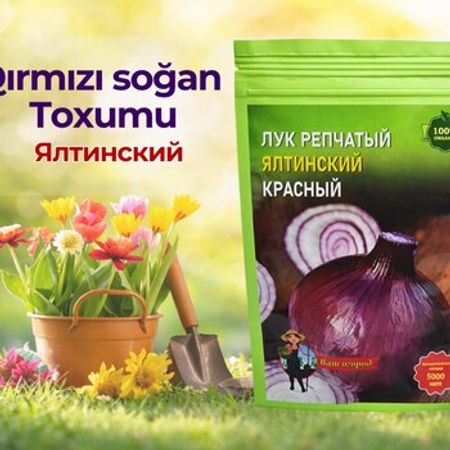 Qırmızı soğan toxumu