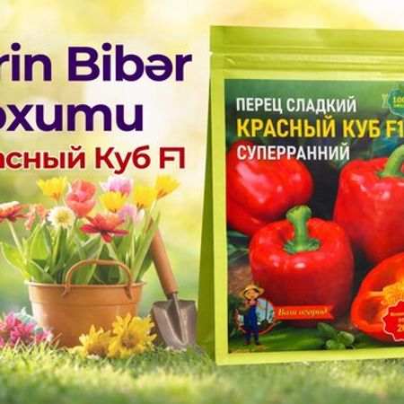Şirin bibər toxumu