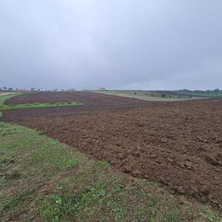 100 sot torpaq sahəsi, Quba r.