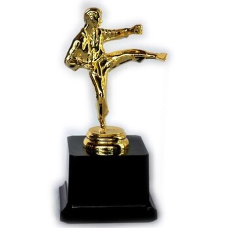 Qızılı karate suveniri