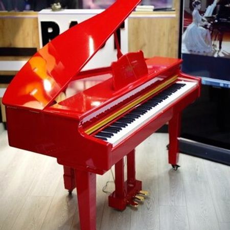 Elektro royal – Musiqi alətləri – ucuztap.az