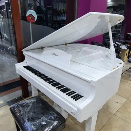 Elektro royal – Musiqi alətləri – ucuztap.az