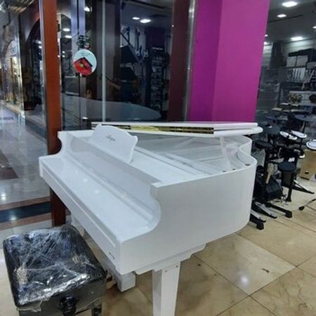 Elektro royal – Musiqi alətləri – ucuztap.az