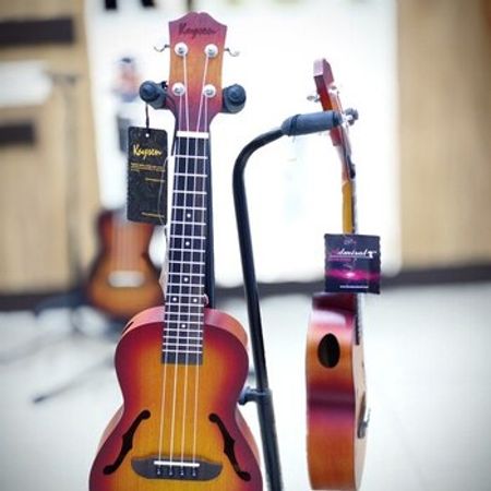Ukulele Kaysen UK-U2-24 SB – Musiqi alətləri – ucuztap.az