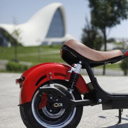 Elektron BIKE 318-8/X5, 2025 il