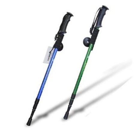 Böyüyüb kiçilən skandinav çubuğu